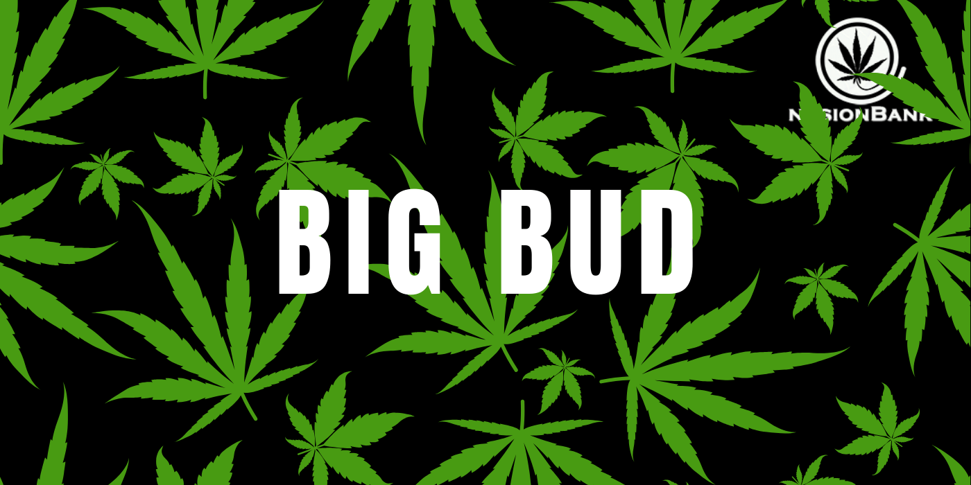 Big Bud