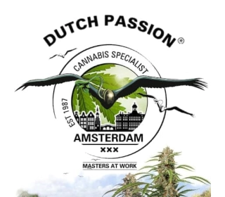 Dutch passion logo nasiona marihuany