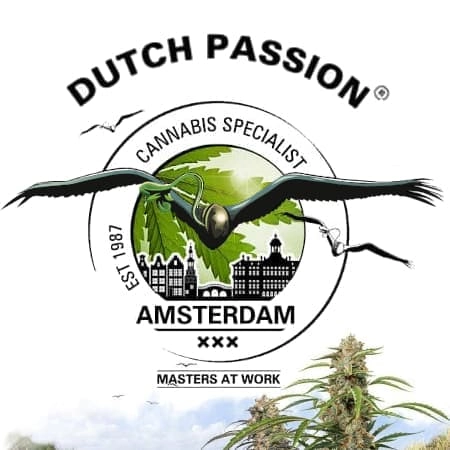 Dutch Passion logo nasiona marihuany