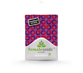 Red Purps | Female Seeds - opakowanie