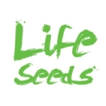 Holenderski producent nasion marihauny life seeds