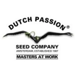 Holenderski producent nasion marihauny dutch passion