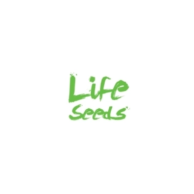 Life seeds producent nasiona marihuany