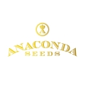 x Anaconda Seeds