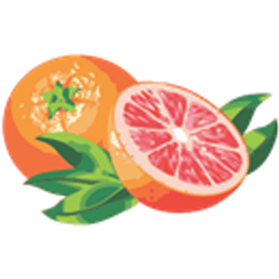 Grapefruit Fast Buds