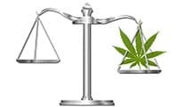 Nasiona Marihuany Legalne