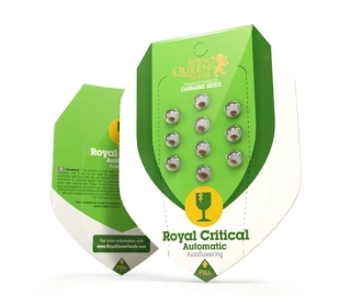 Royal Critical Automatic RQS