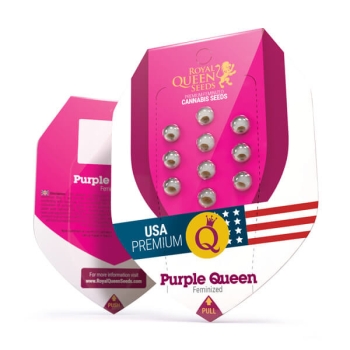Purple Queen RQS