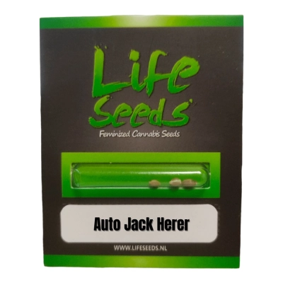 Auto Jack Herer opakowanie